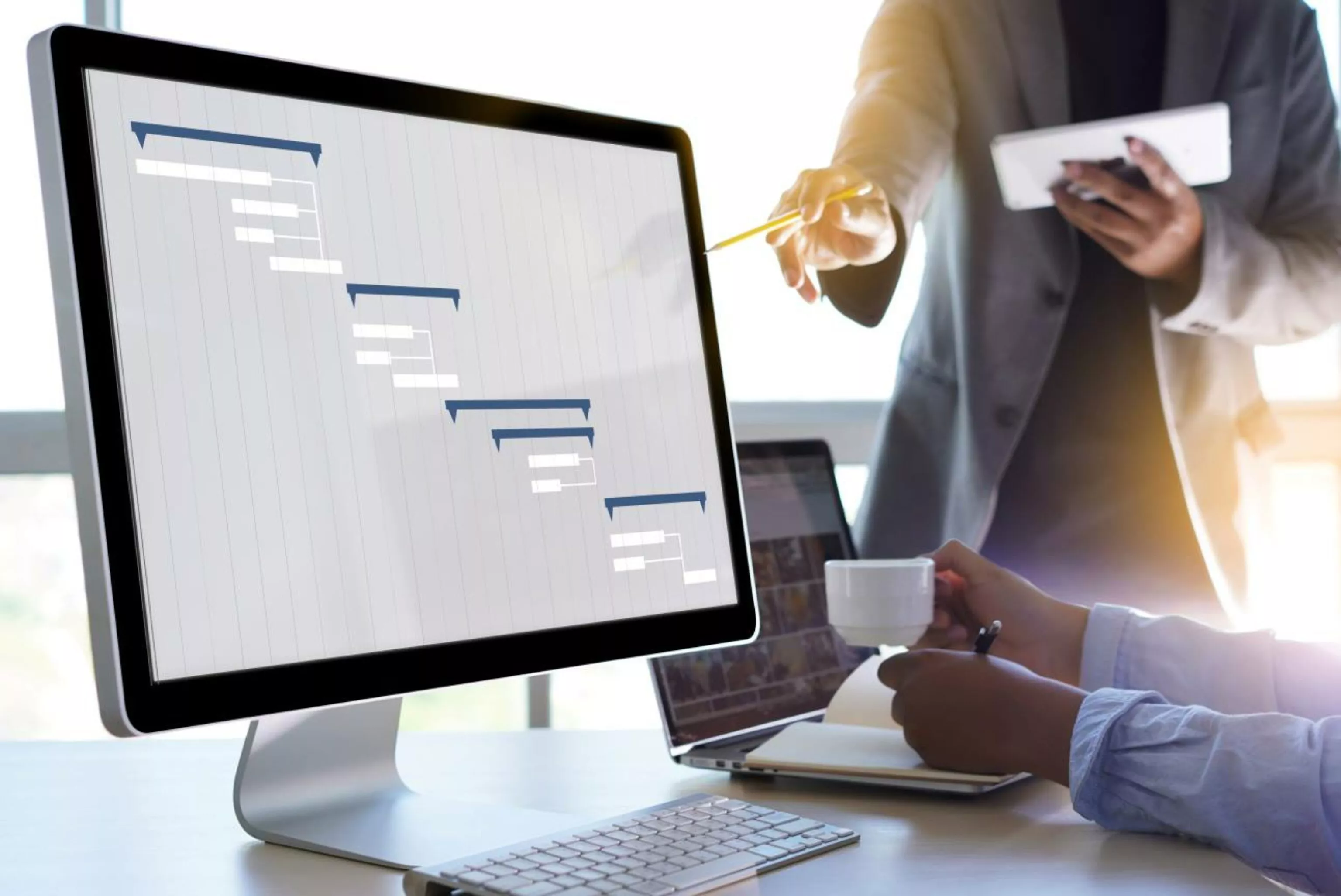 Expertise en management de projet - Project management expertise